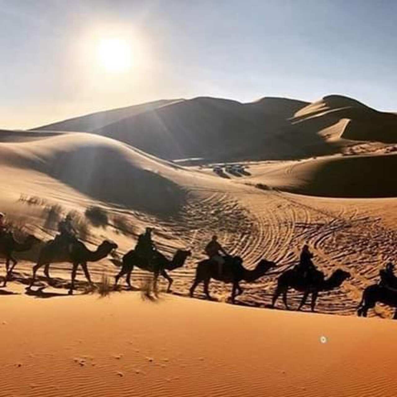 Desert Dreams & Imperial Cities: 8 Days Across Morocco (9/33)