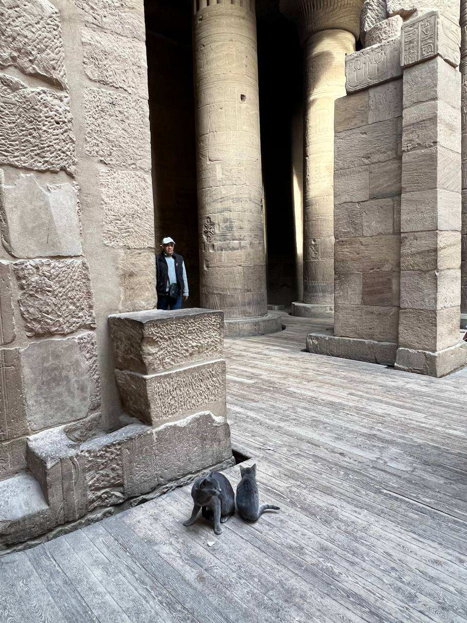 Обзорная экскурсия по Асуану  (5/7)