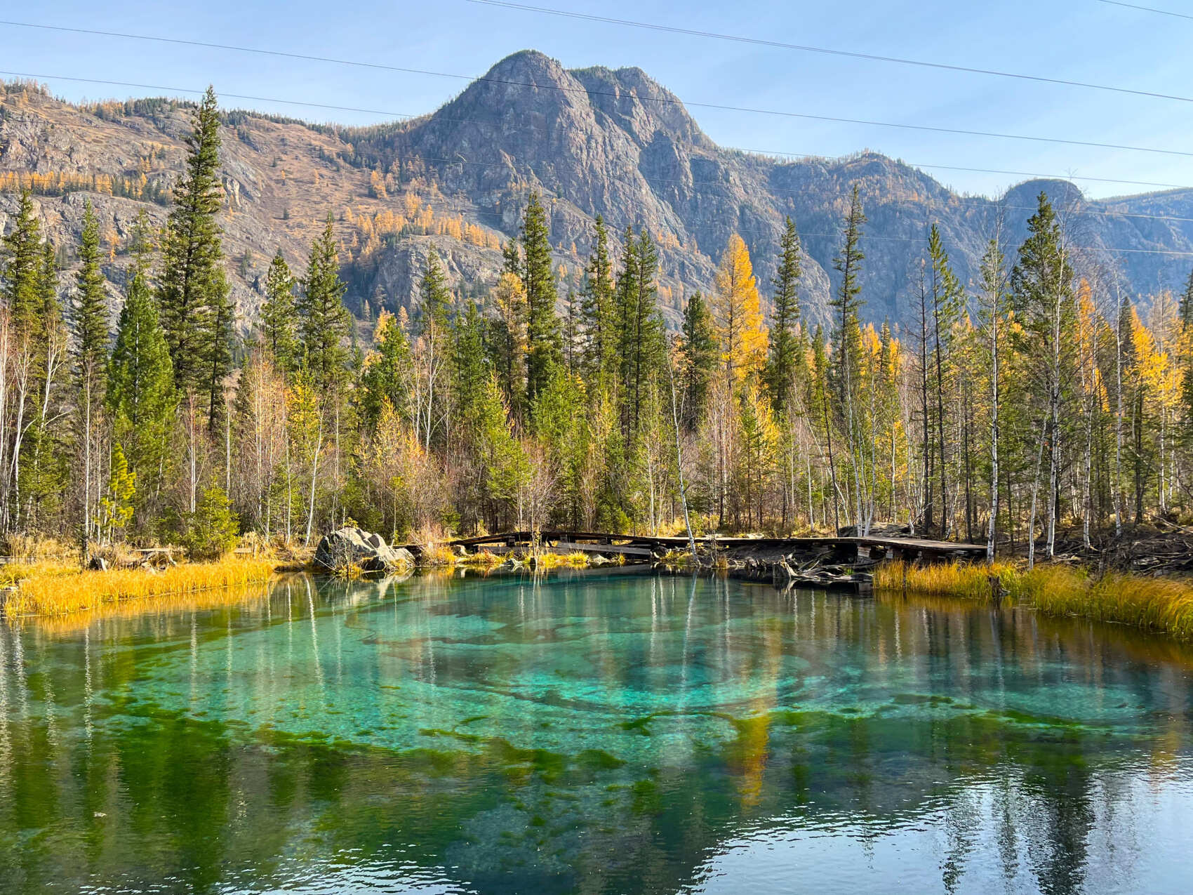 На фестиваль беркутов в Монголию + Чуйский тракт: вперед в прошлое! (2/37)