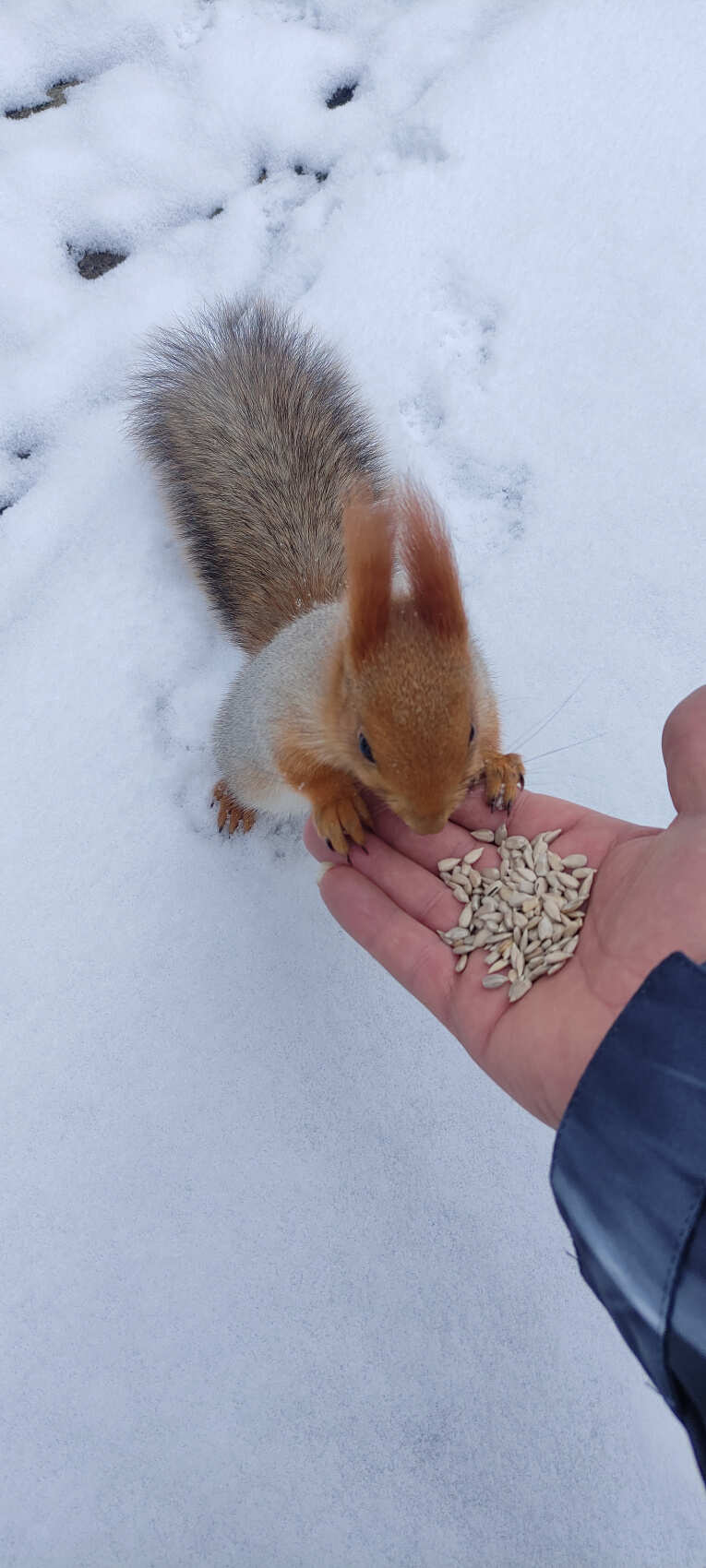 Из Бишкека в горы Тянь-Шаня! (8/16)