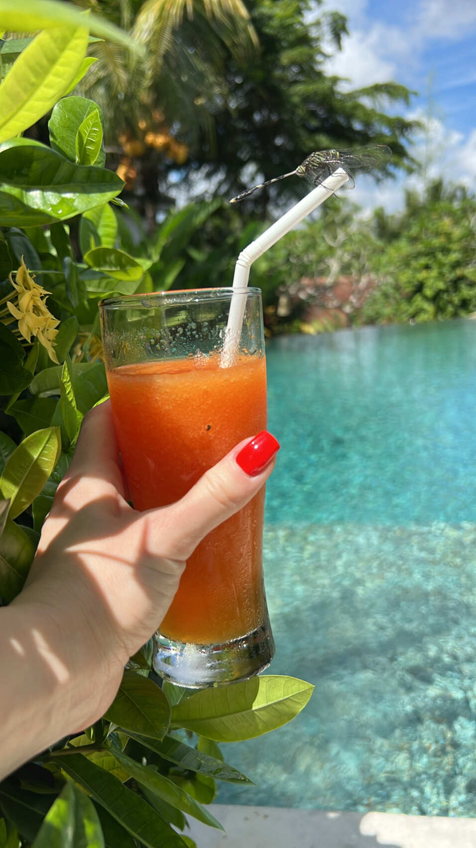 Фото-девичник на Бали за 10 дней (77/167)