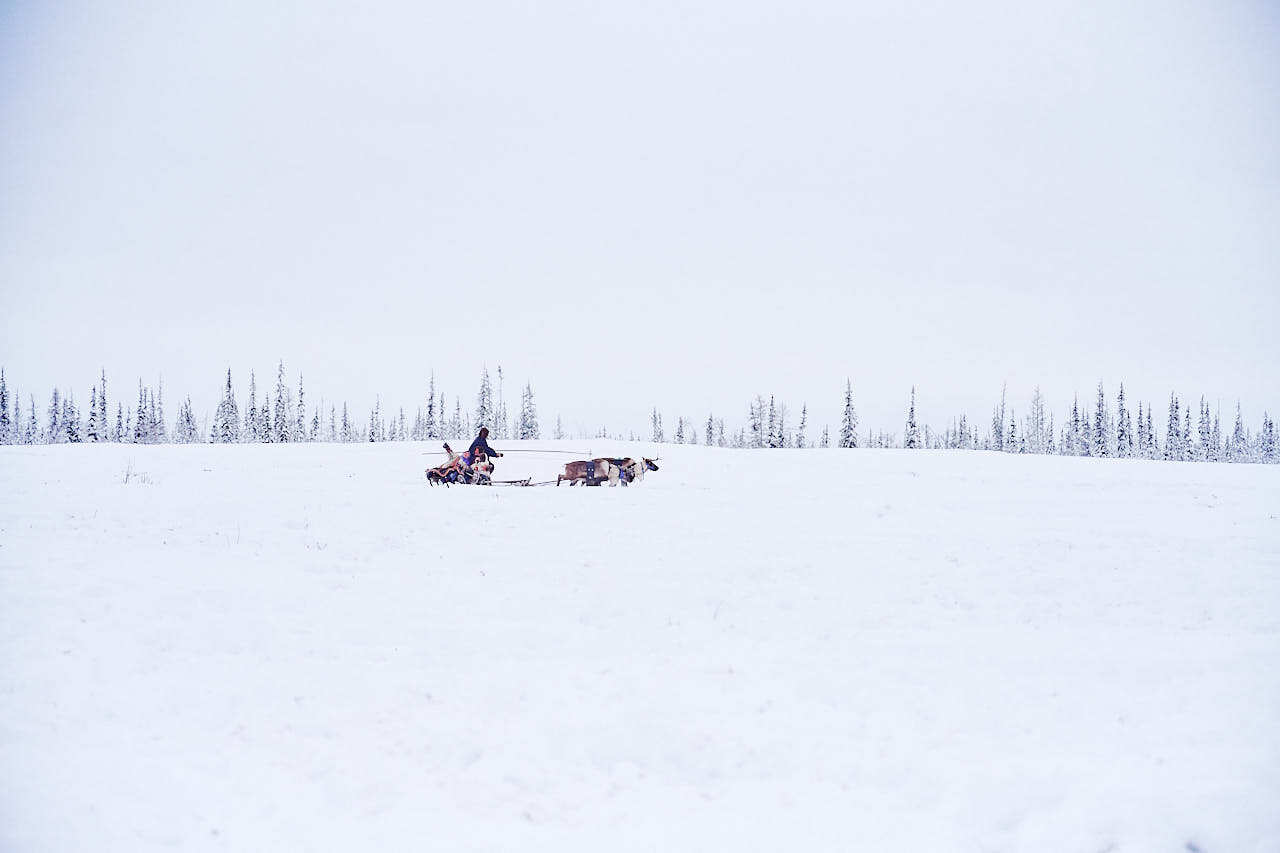 Чумовая Жизнь. Тундра-Тур На Ямал (5/17)