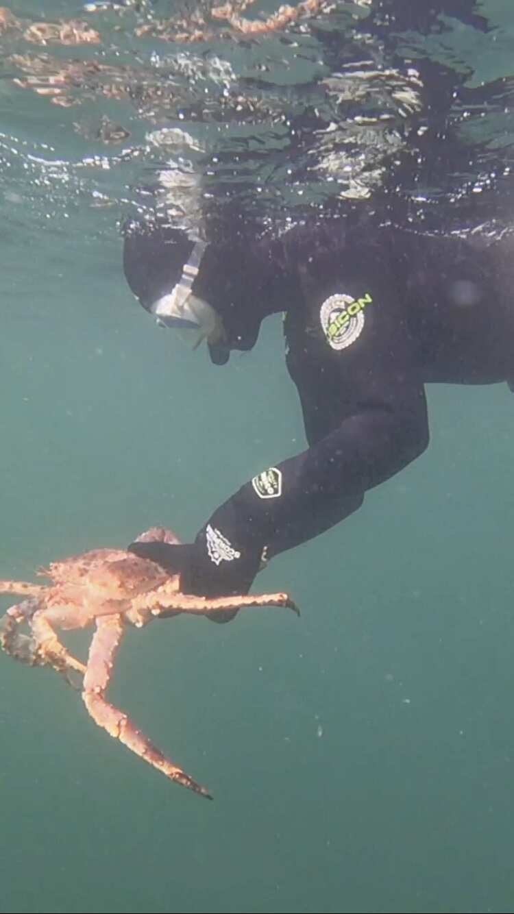 Рыбачий-Премиум 2.0: киты + джипинг + безлимит морепродуктов (по запросу, для готовых групп) (20/31)