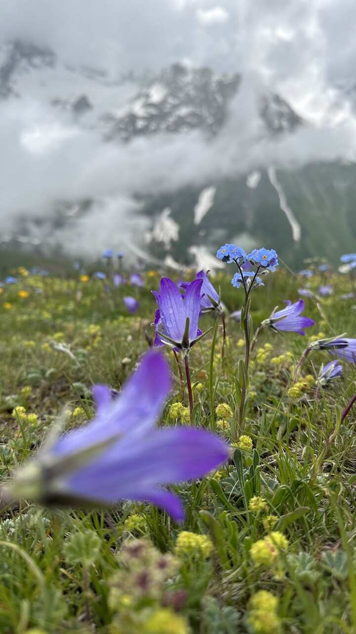 7-дневный конный тур По Кавказским горам в Архызе (17/42)