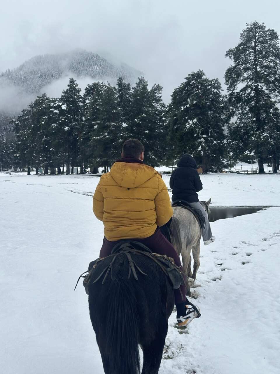 Активный выходной в Архызе: лошади + вездеходы (8/8)