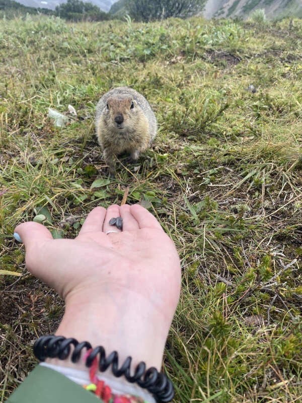 Камчатка с комфортом на «все включено» (16/146)