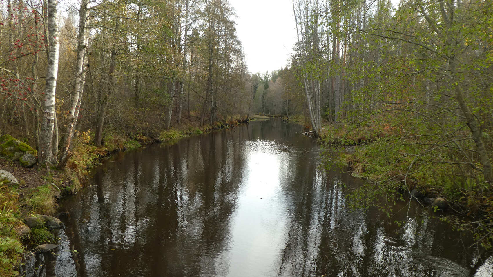 По тропам Ленинградской области. Петяярви. (9/9)