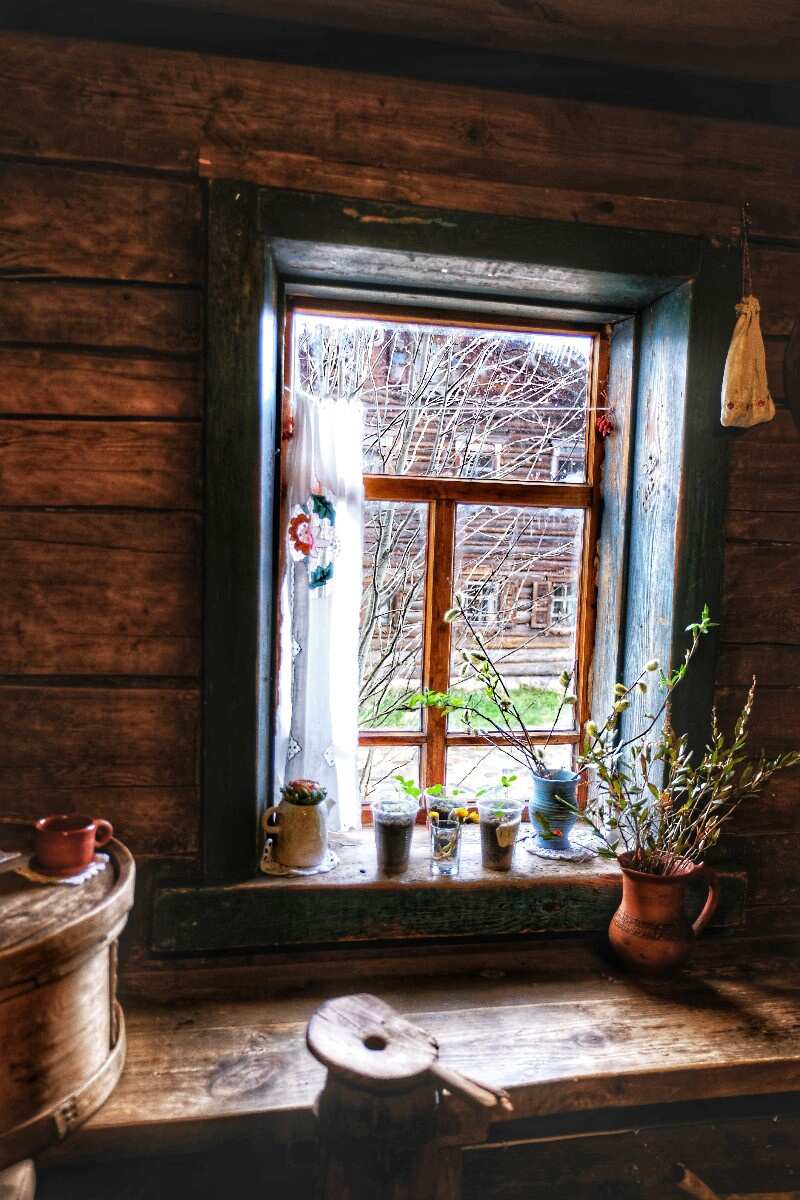 Масленица от Лодейного поля до Мандрог (11/17)