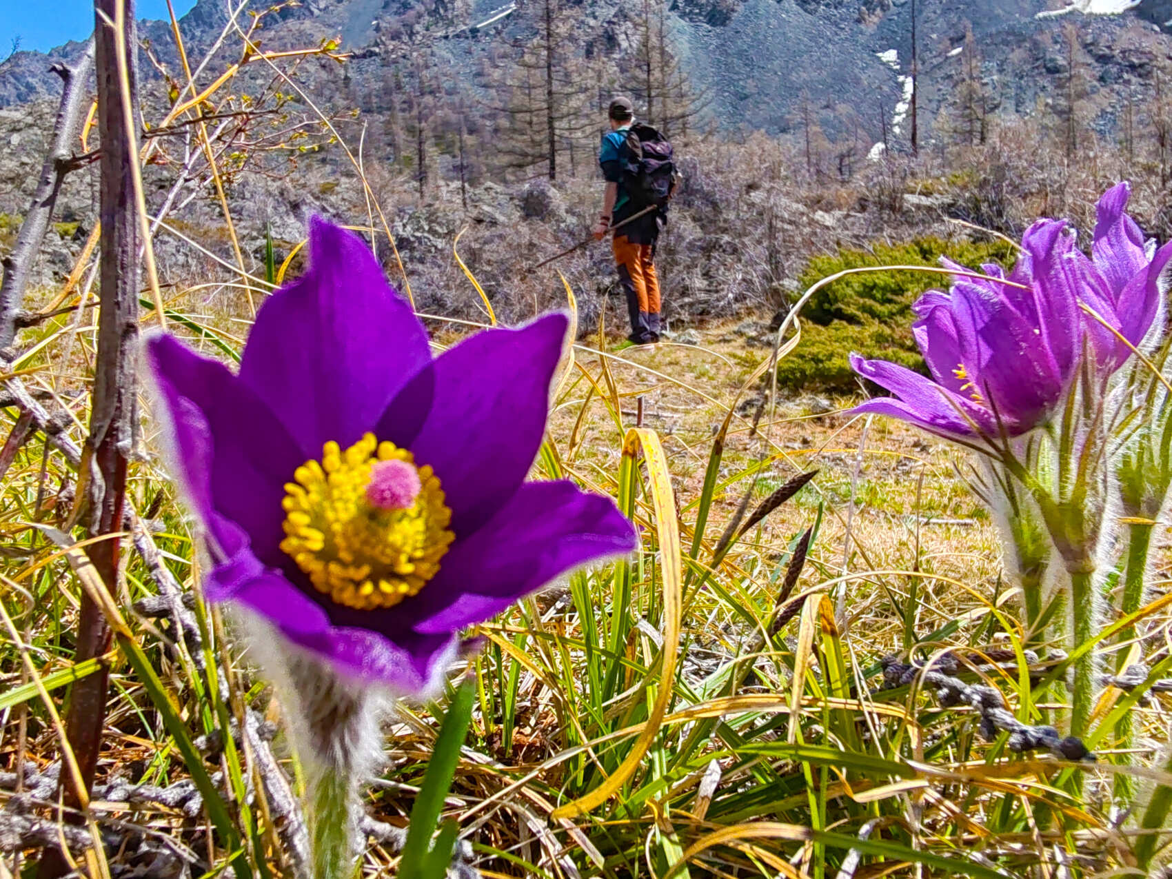Актив-тур: конные прогулки, трекинг, Чуйский тракт! (9/63)