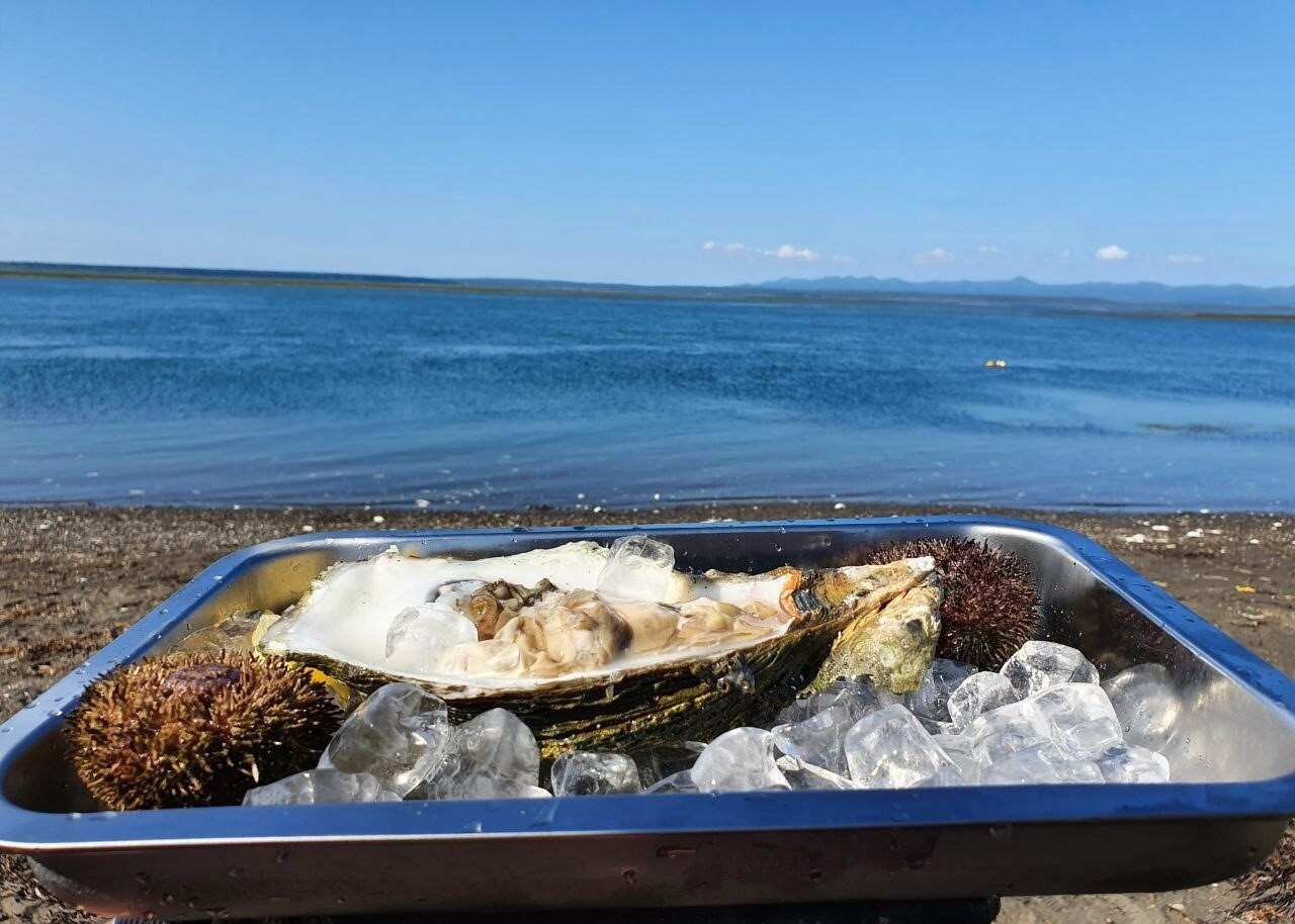  Сахалин Fish 2026 (6/32)