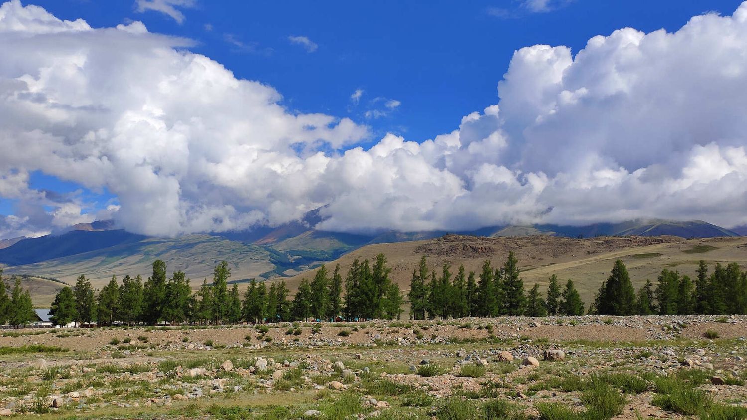 Сердце Горного Алтая: до Монголии и обратно (15/82)
