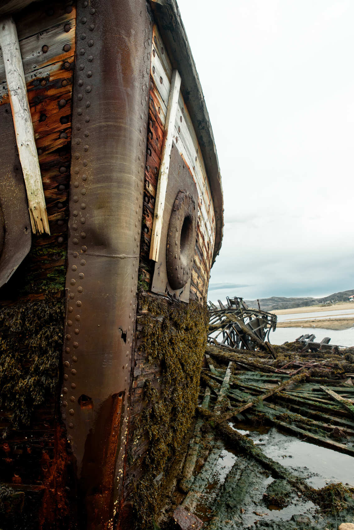 Фото экспедиция по Кольскому п-ову (+Рыбачий+Средний+ киты) (13/33)