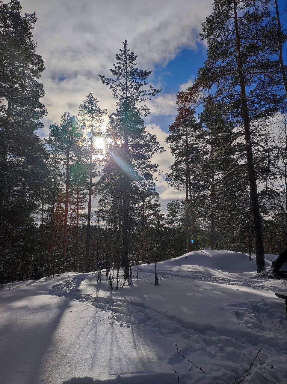 Основы альпинизма на Малых Скалах. Однодневный выезд из Петербурга (7/14)