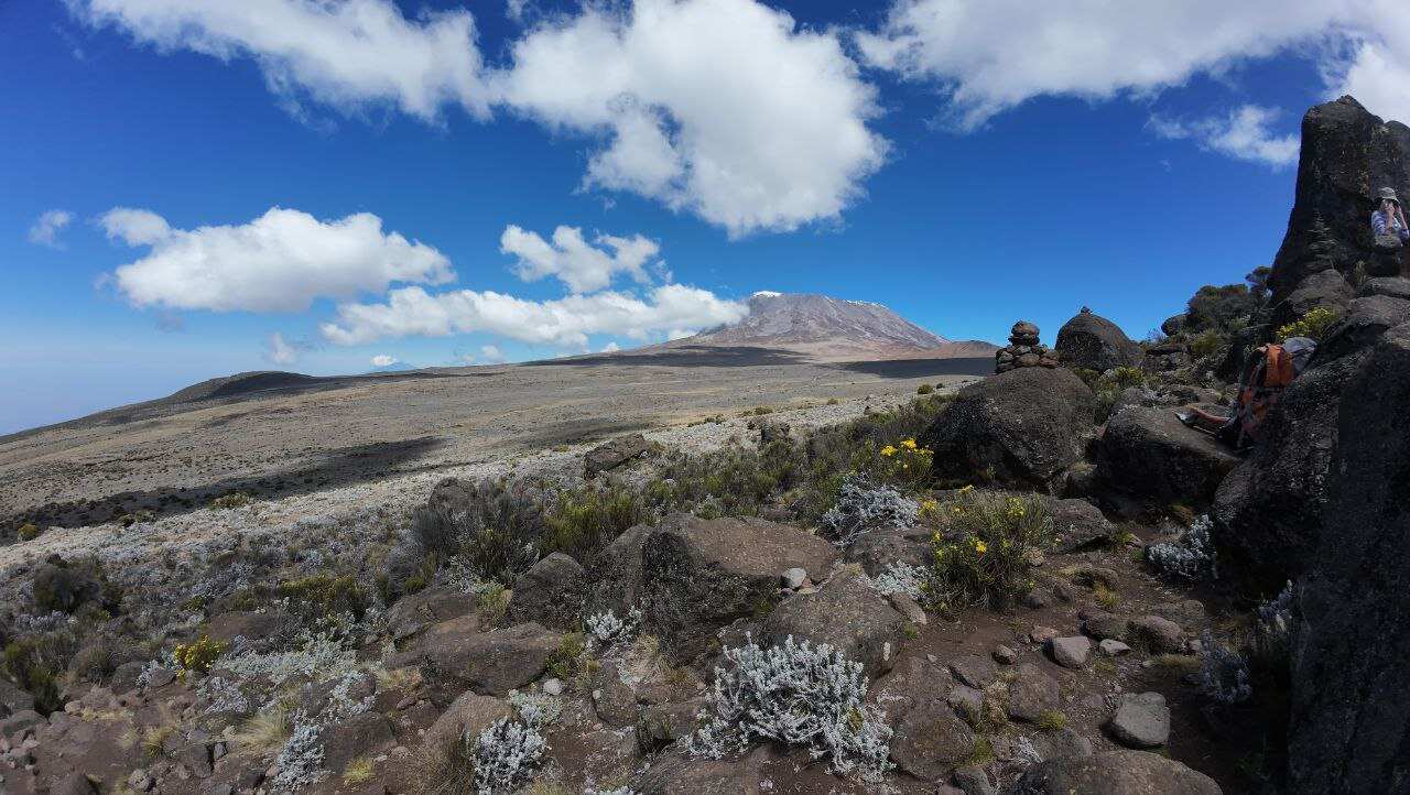 Маршрут Лемошо, Килиманджаро, 9 дней (2/13)