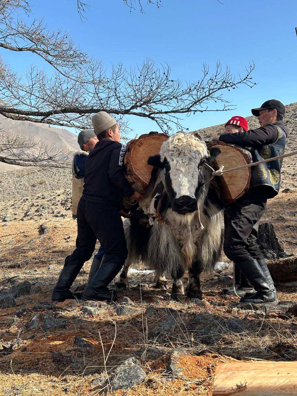 Серебряные Горы (9/27)