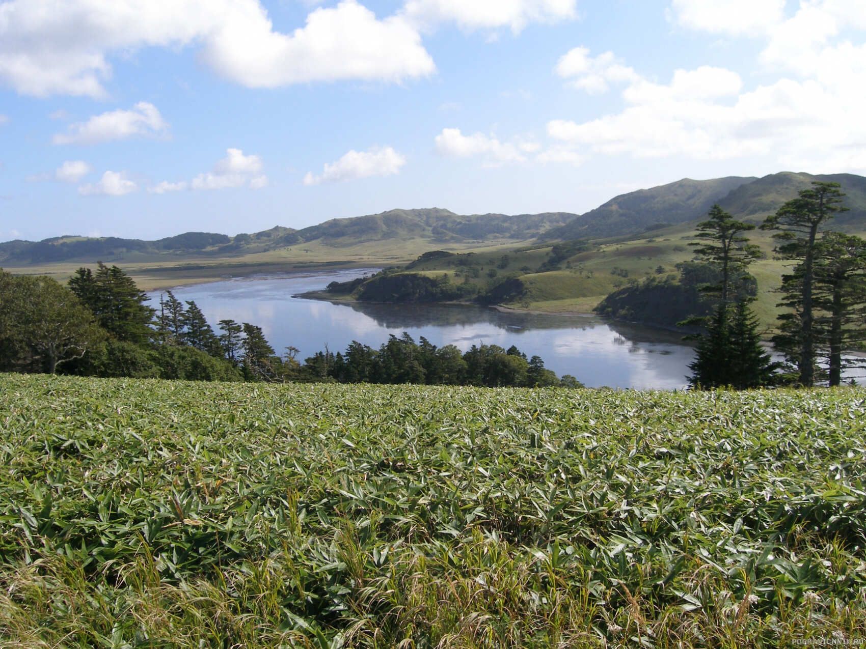 Тур на Курилы ( о.Шикотан ) (3/20)