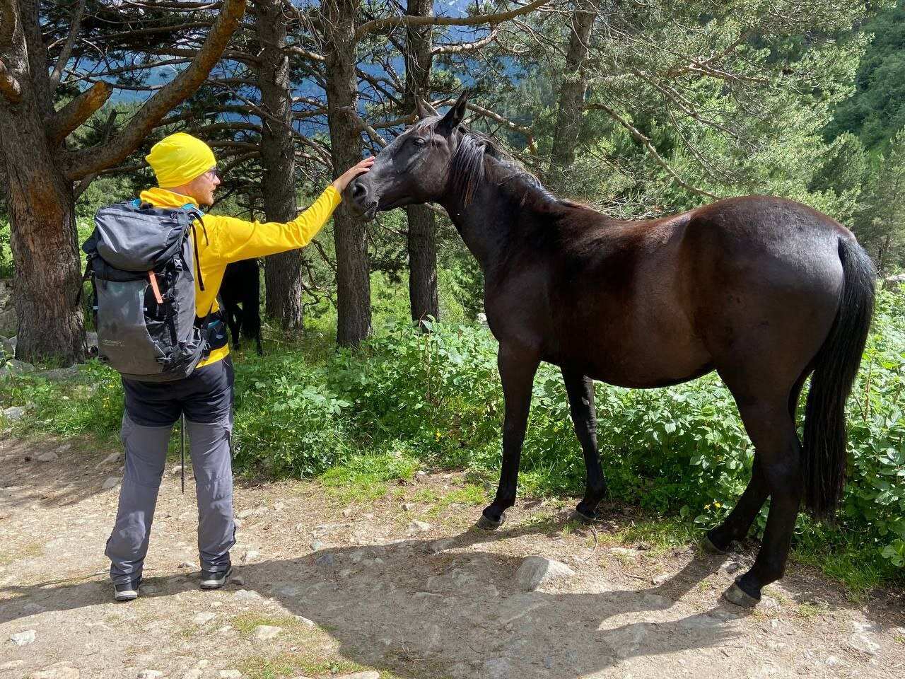 Знакомство с Эльбрусом, 3 дня в Приэльбрусье (15/24)