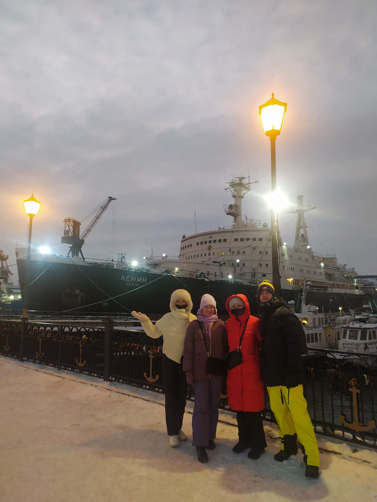 Арктика: северное сияние, норвежские пейзажи, хаски и олени (10/20)