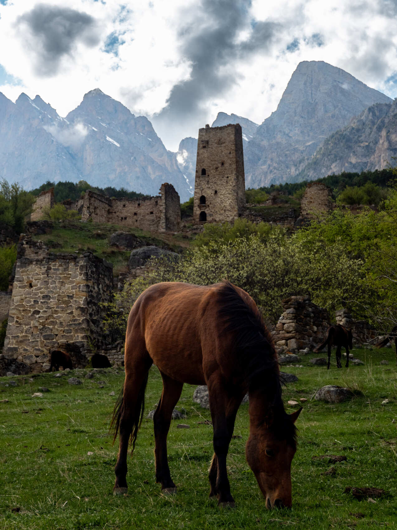 Самые красивые и безлюдные места Горной Ингушетии вместе с фотографом (15/40)