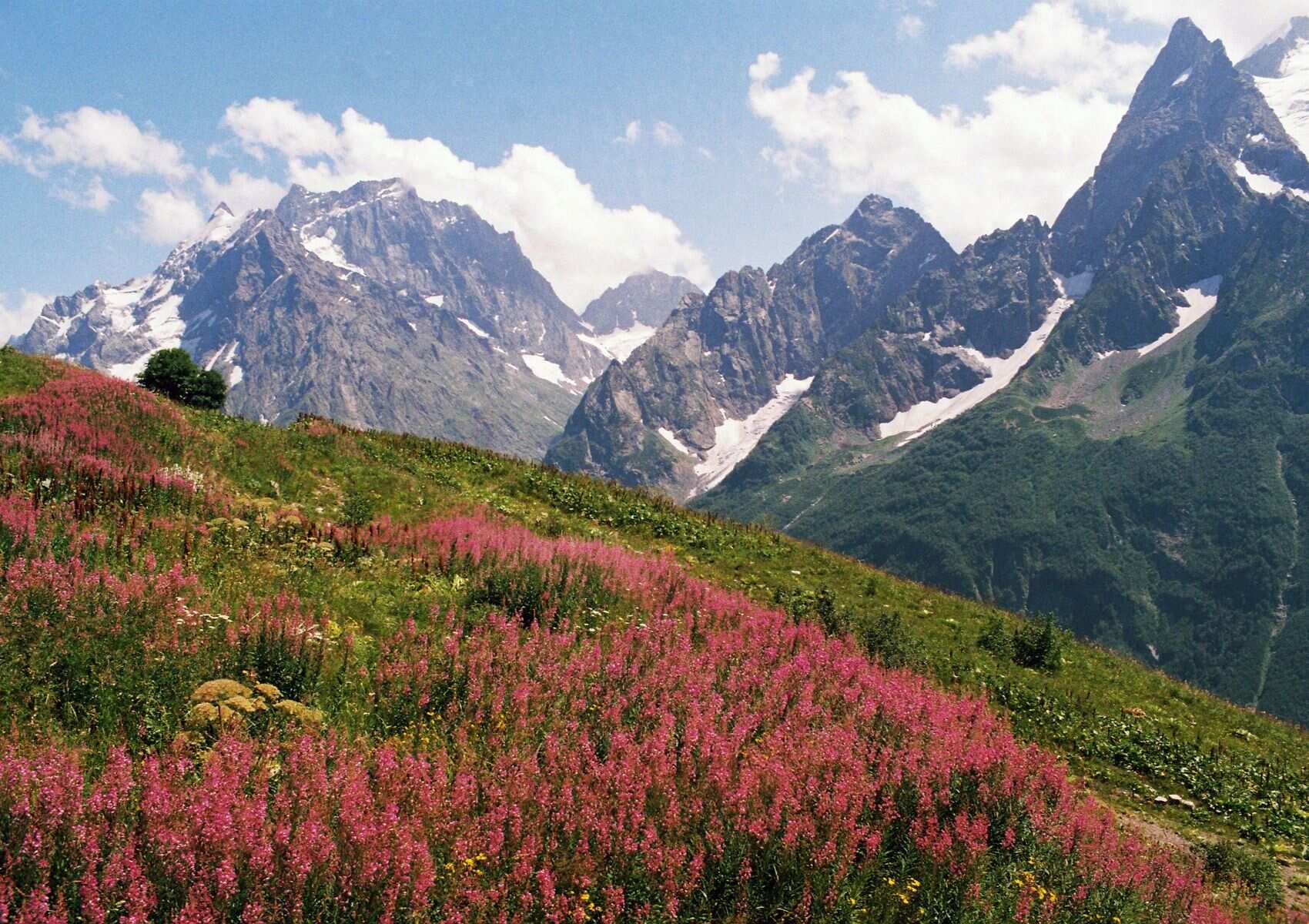 Сокровища Домбая