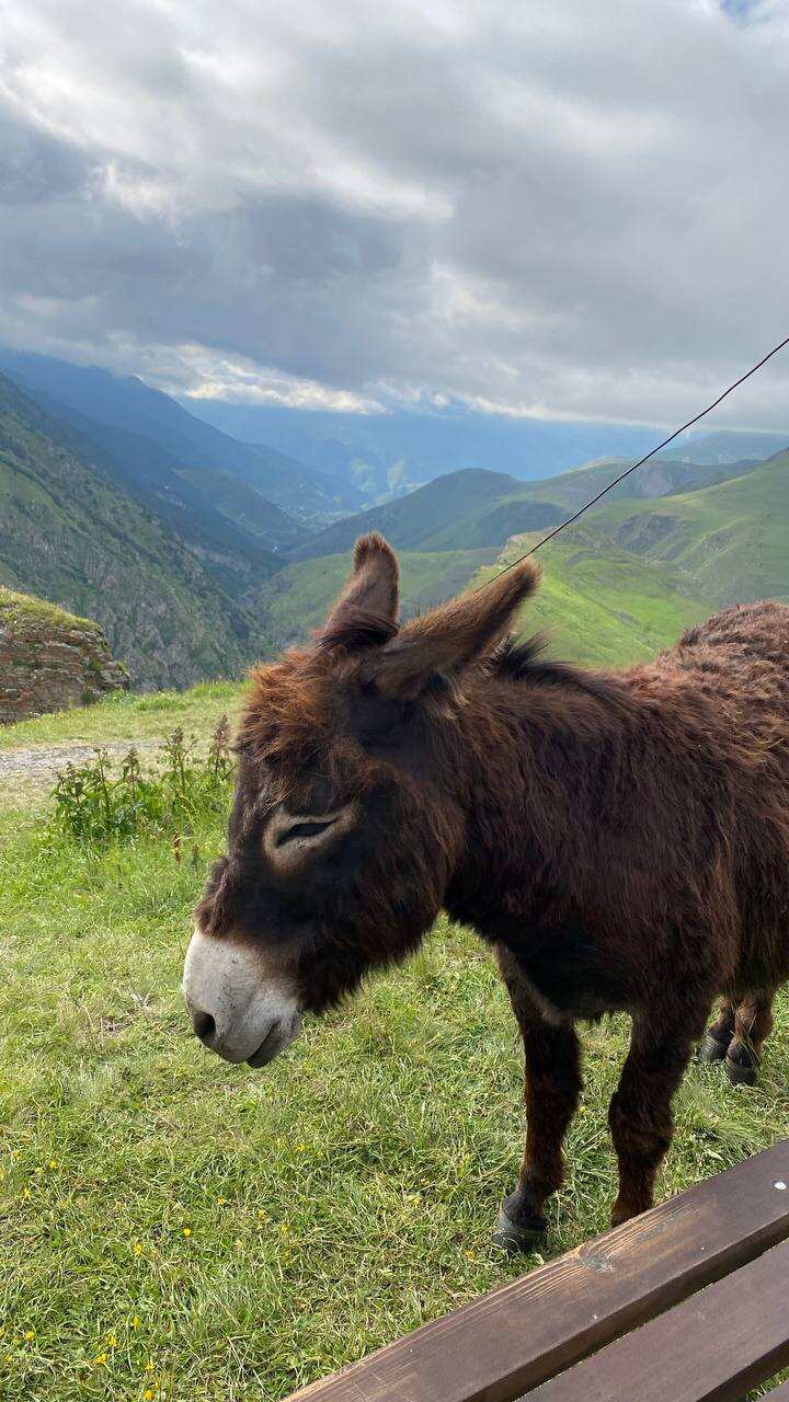 Выходные в Северной Осетии (10/13)