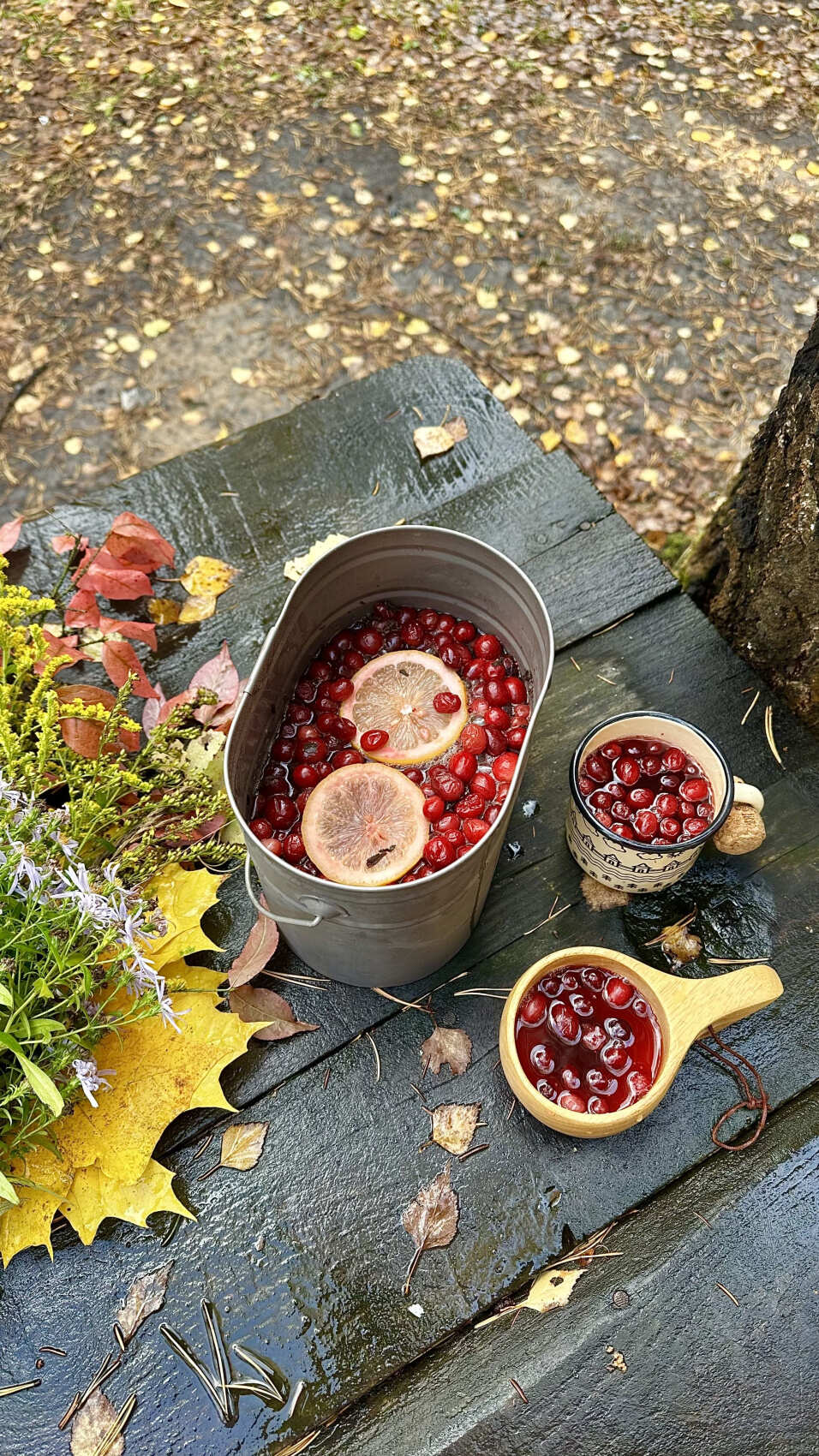 Пеший поход в Озерный край (4/8)