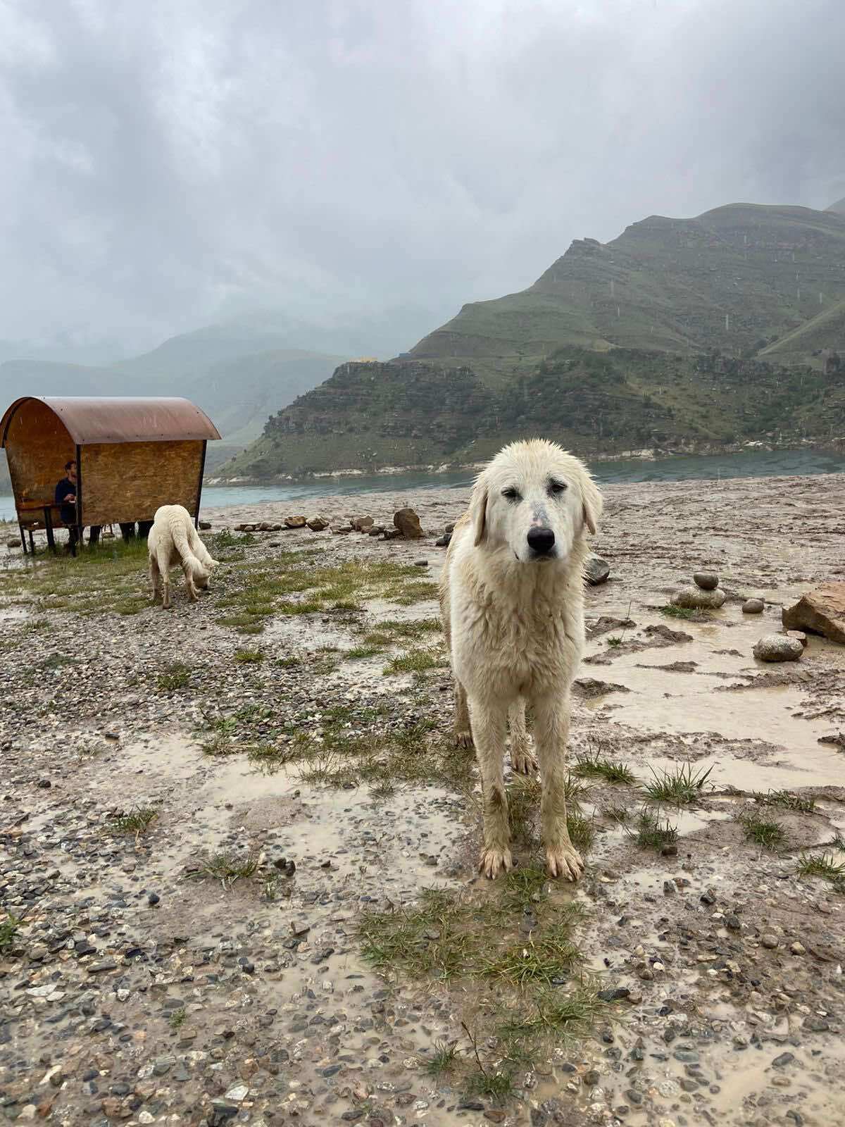 Двуглавый Эльбрус с другого ракурса (9/9)