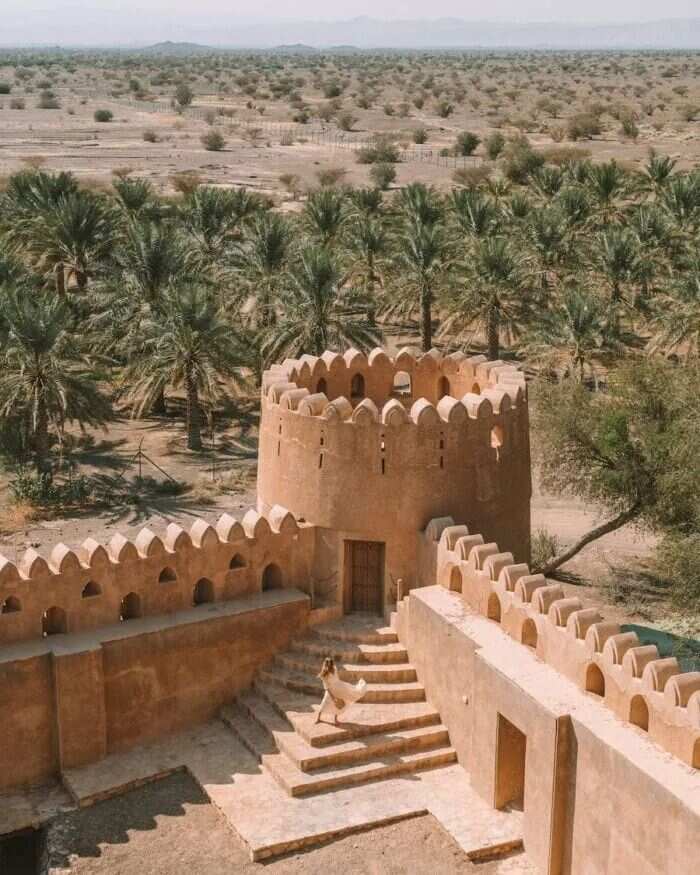 Оман: восточная сказка (46/69)