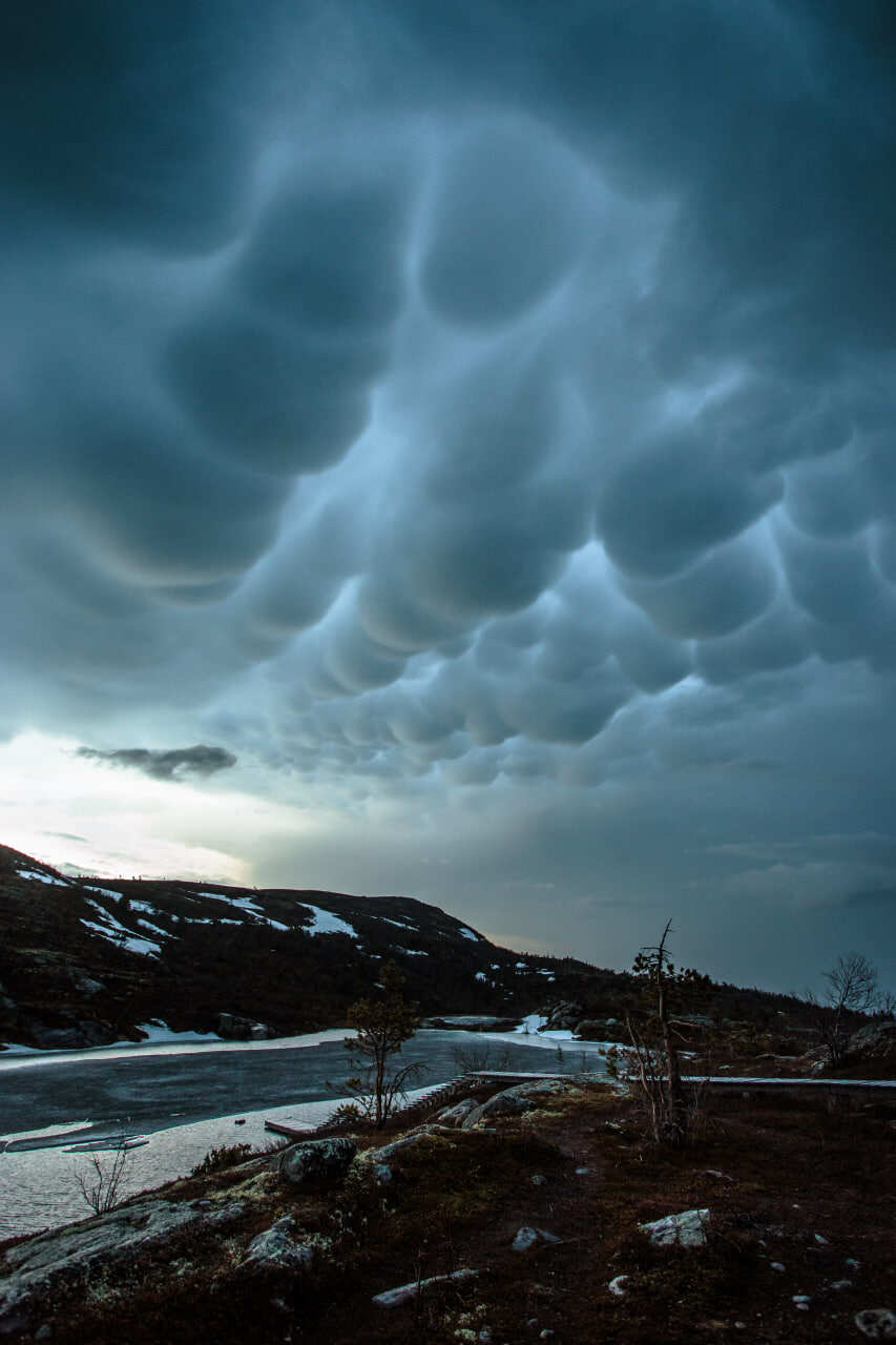 Терский берег и пески северной пустыни! (43/66)