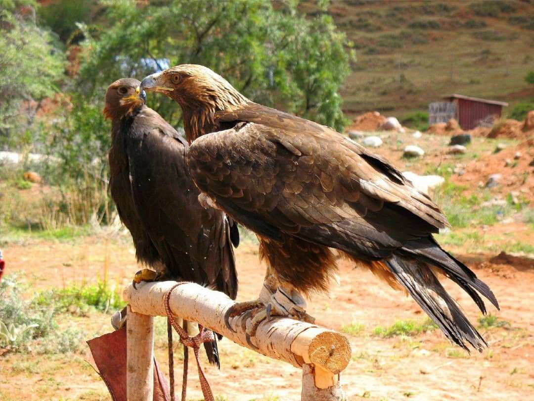 Первое знакомство с Иссык-Кулем! Северный берег. (7/8)