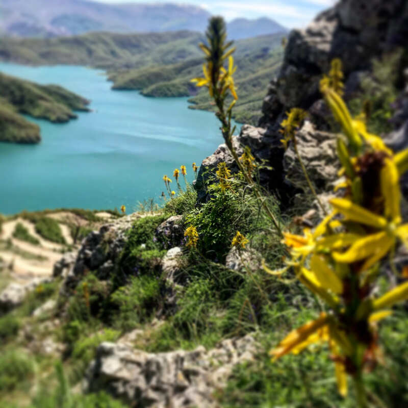 Албанские каникулы (22/56)