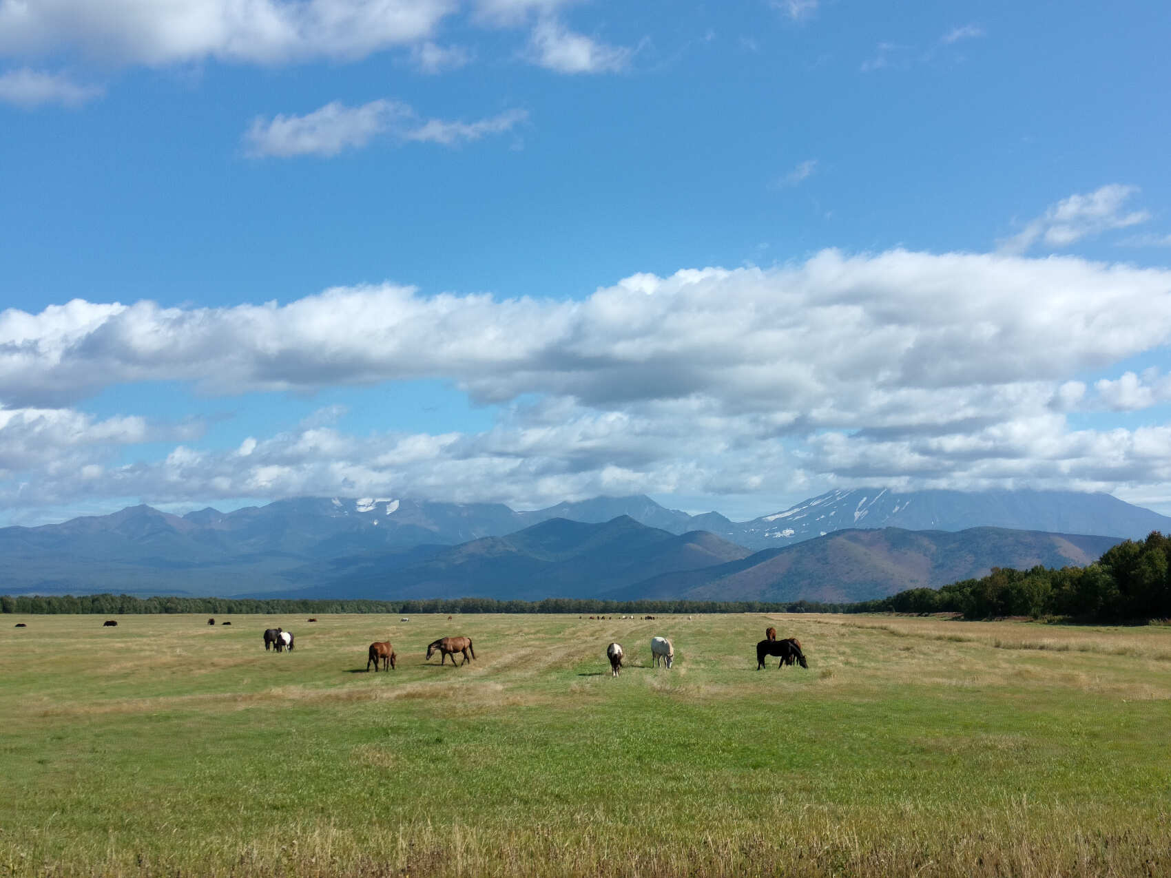 Конный тур в Медвежий Угол (5/17)