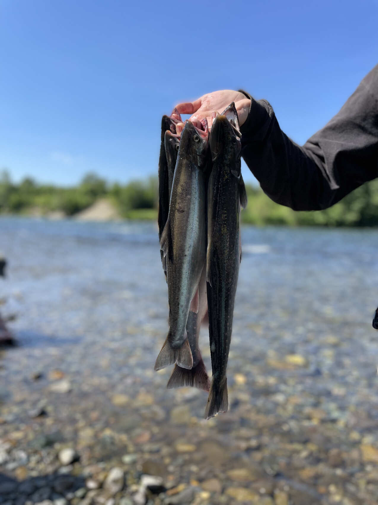 Невероятная Камчатка (5/13)