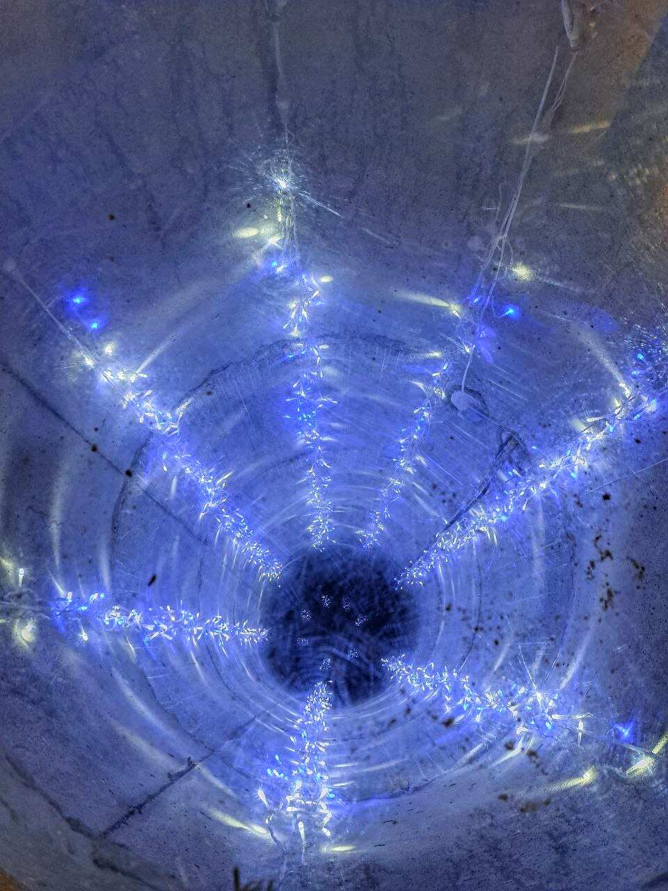 Алтай за один день (4/9)