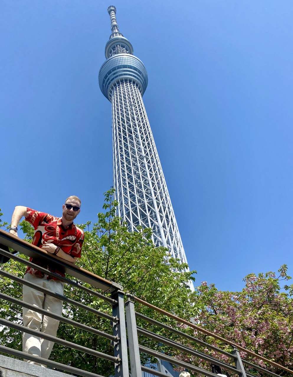 Япония  — путешествие по стране восходящего солнца (28/75)