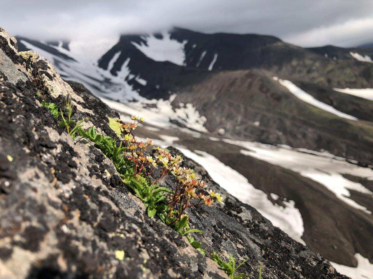 В гости к Вулканам, Авачинский перевал, экструзия «Верблюд» (10/17)