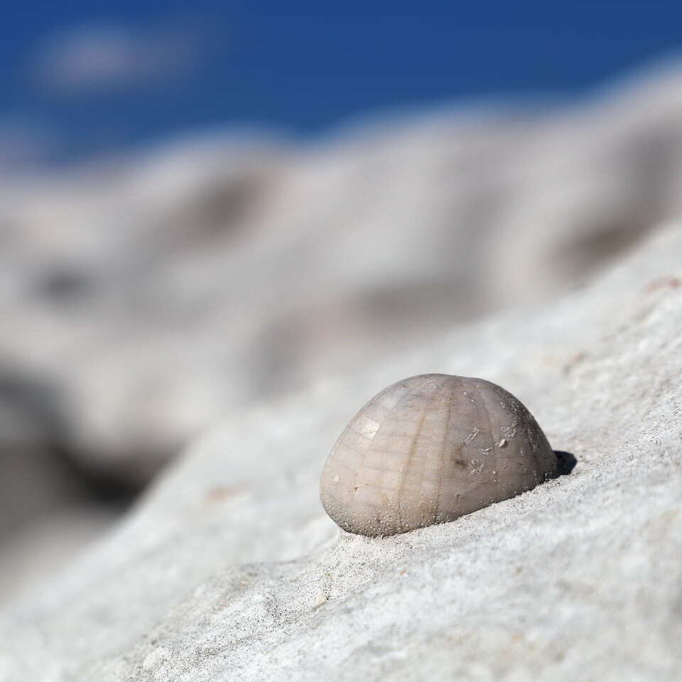 ОТКРЫВАЕМ МАНГИСТАУ - путешествие по геологии, Бозжира и Жыгылган (3/45)