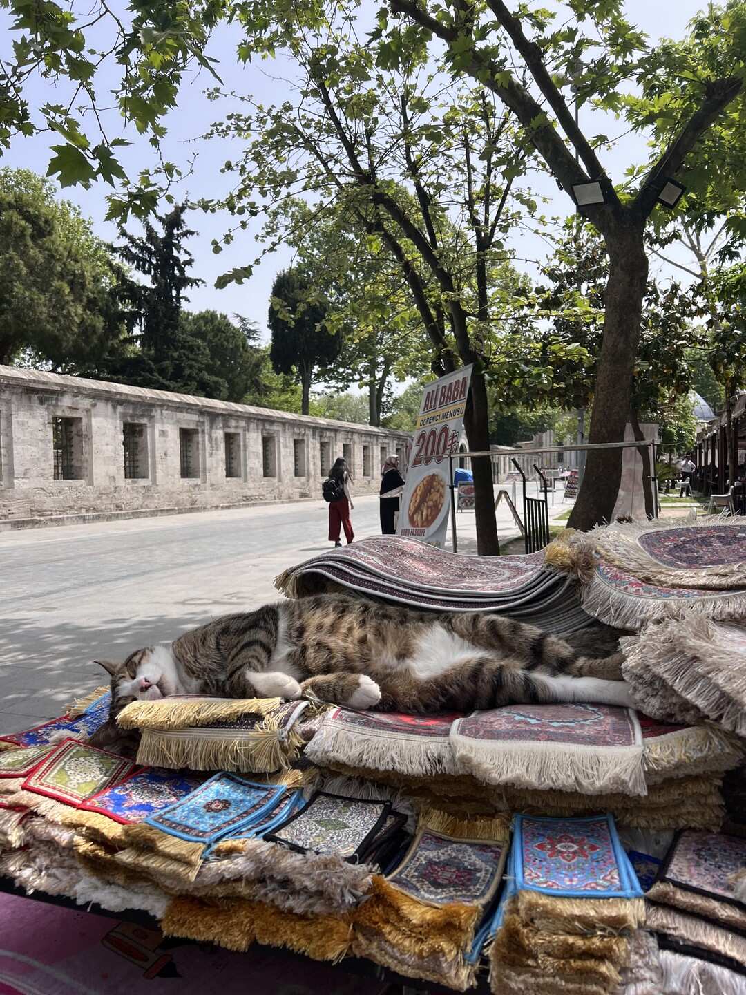 Стамбул: увидеть главное за 4 дня (19/63)