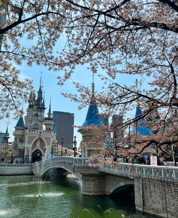 Южная Корея: полное погружение (18/52)