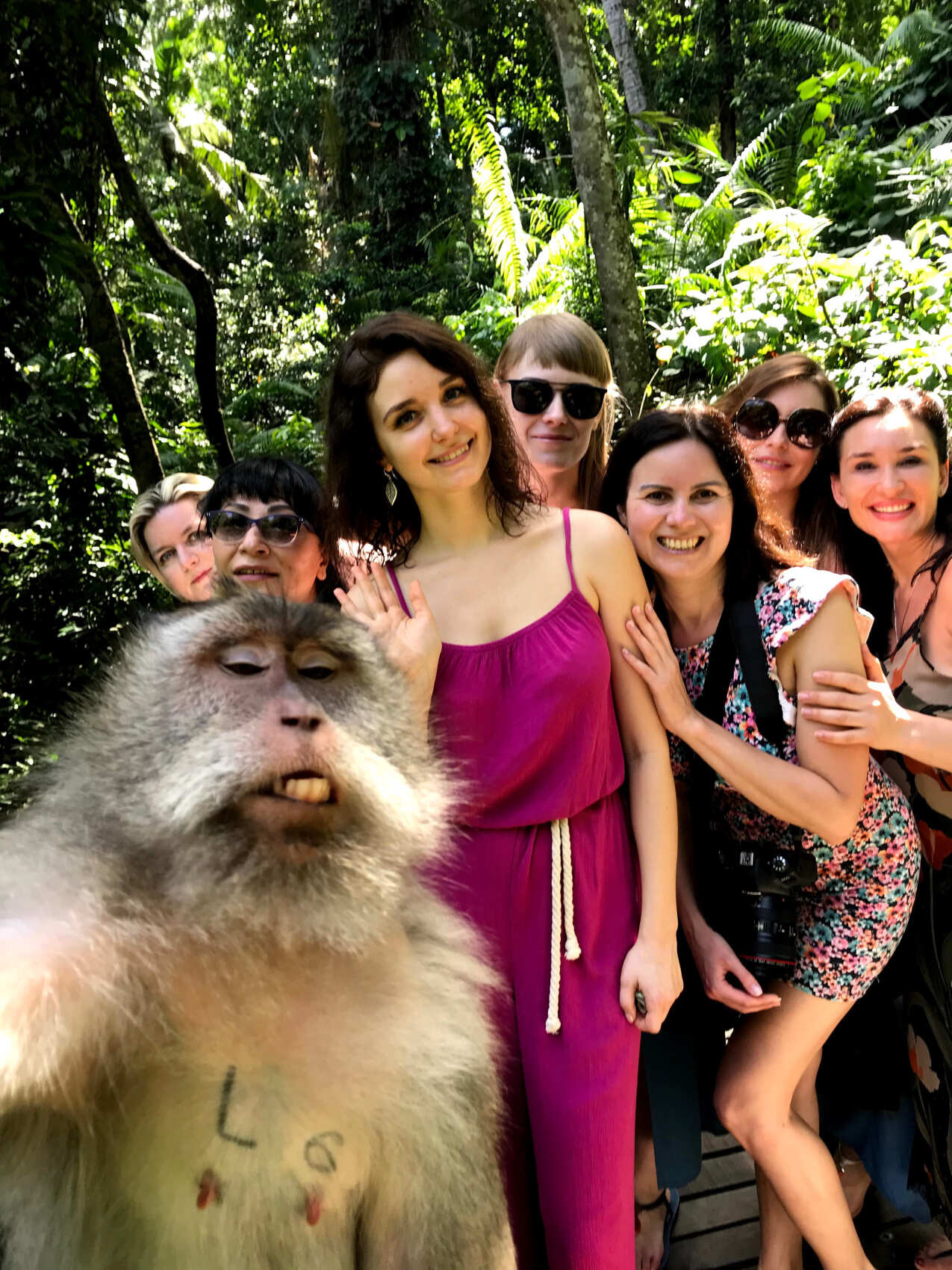 Женский тур-Ретрит на Бали Жить в Потоке (10/50)