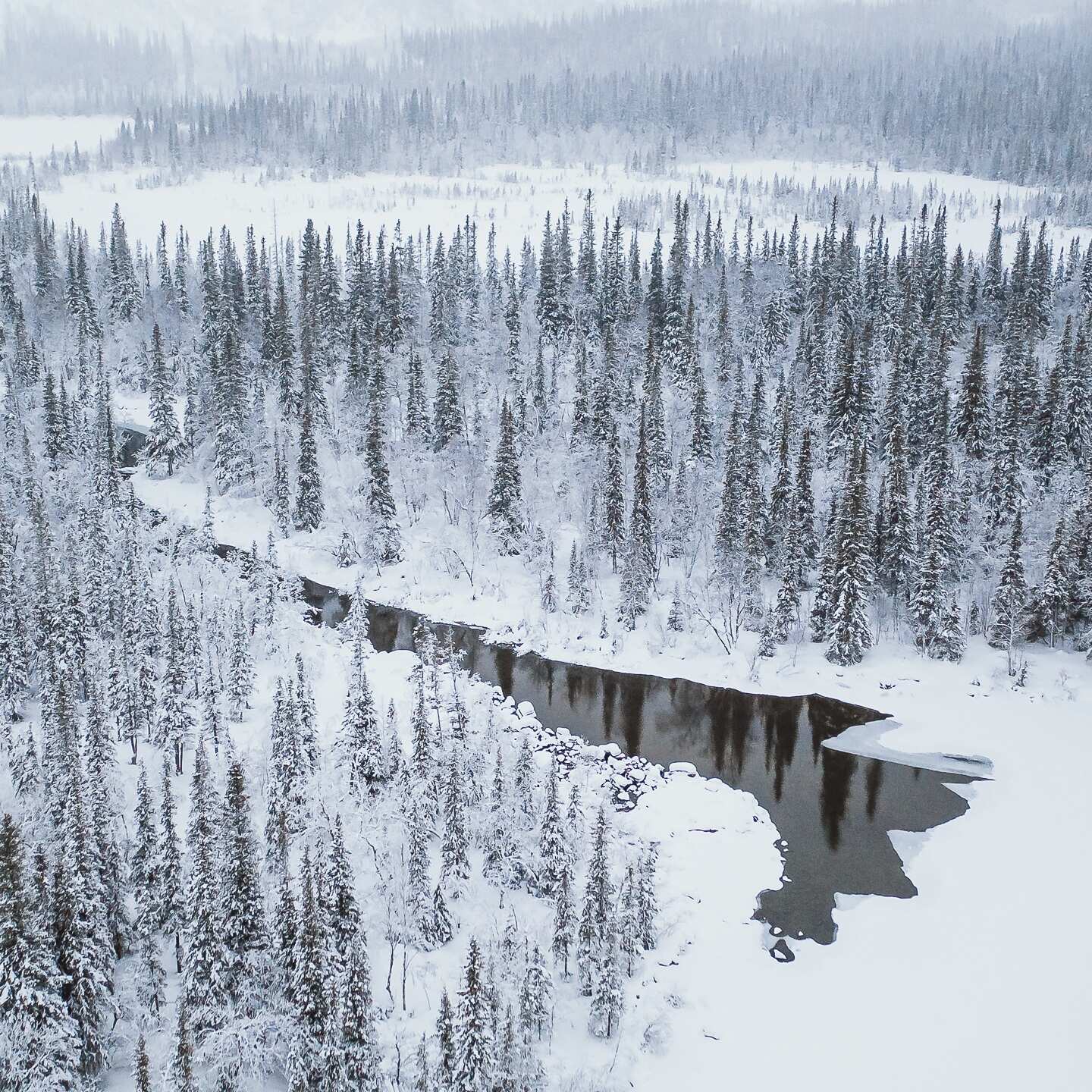 Знакомство с Сейдозером (3/7)