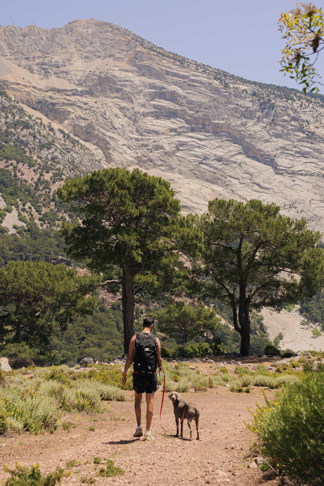 Море, горы, параглайдинг — хайкинг по Ликийской тропе с комфортом (16/64)