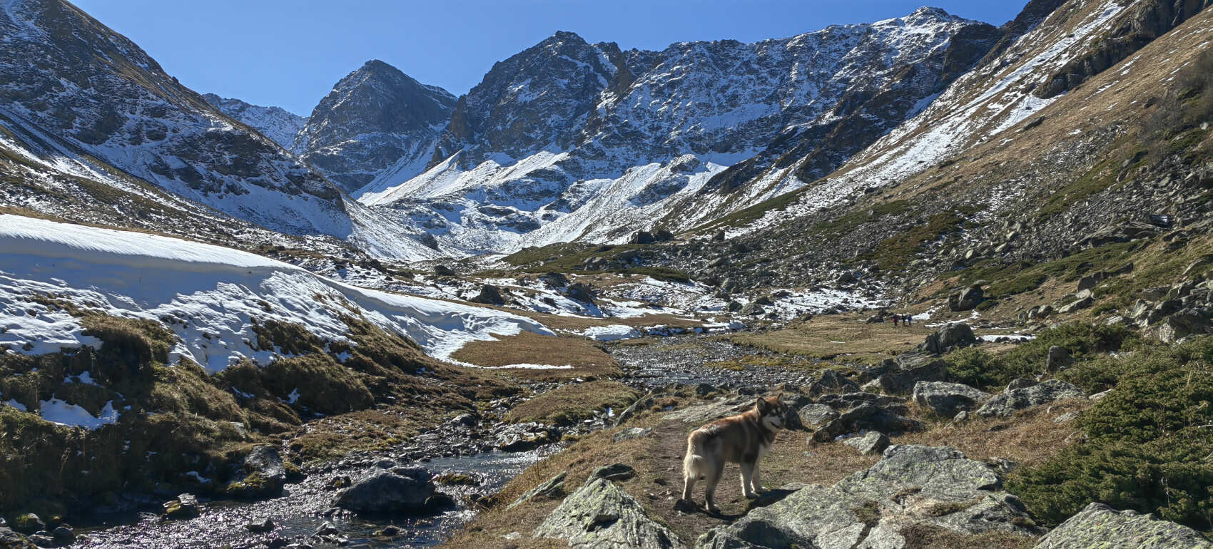 Архыз с комфортом в компании маламута! (8/54)