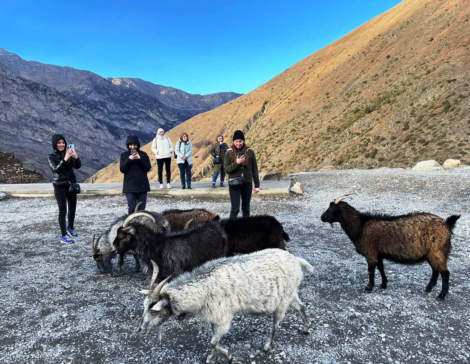 Осетия и Грузия: кавказский колорит (34/65)
