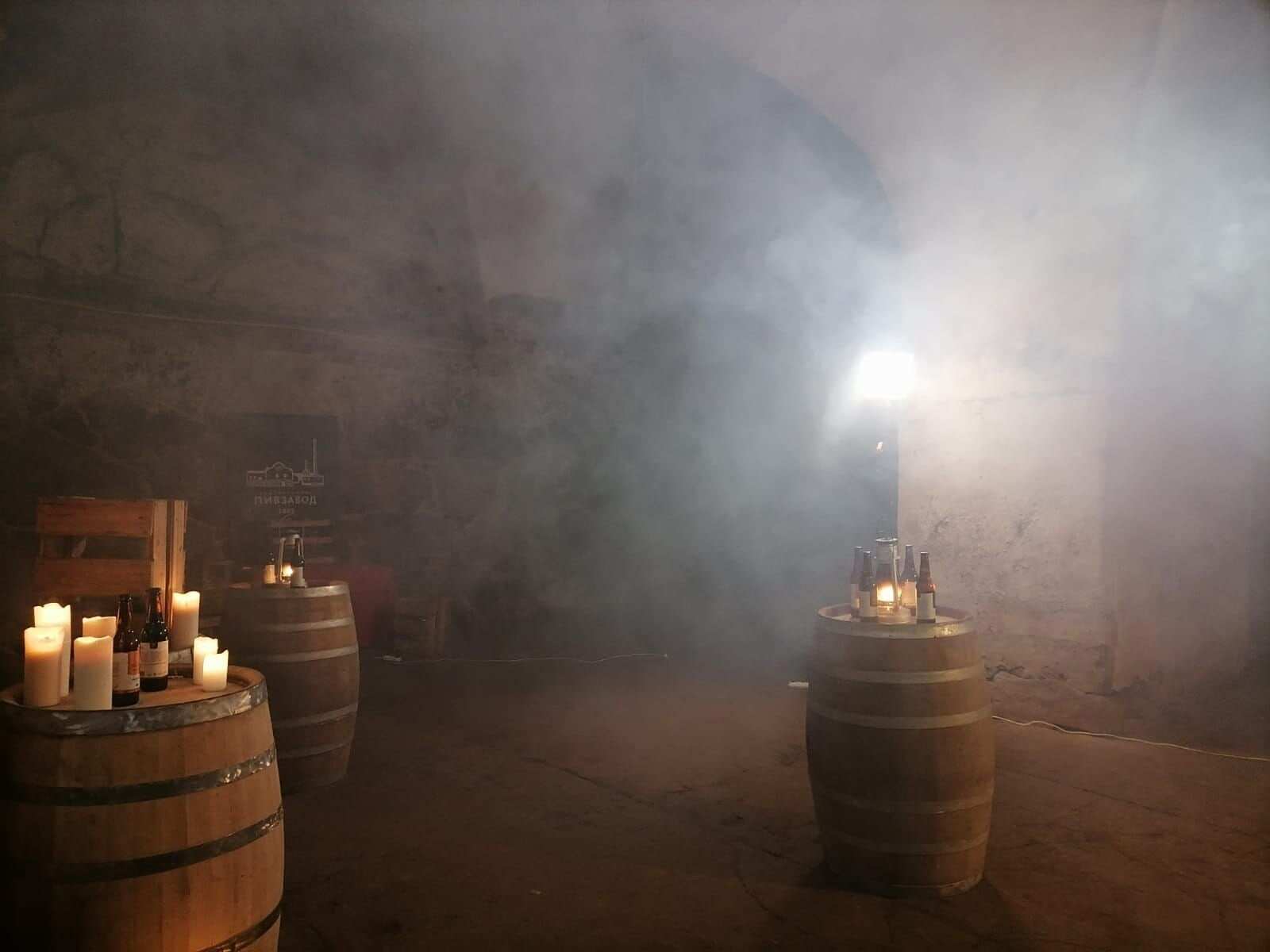 Тур в Выборг. Библиотека Аалто - Пивоварни - Монрепо (15/28)