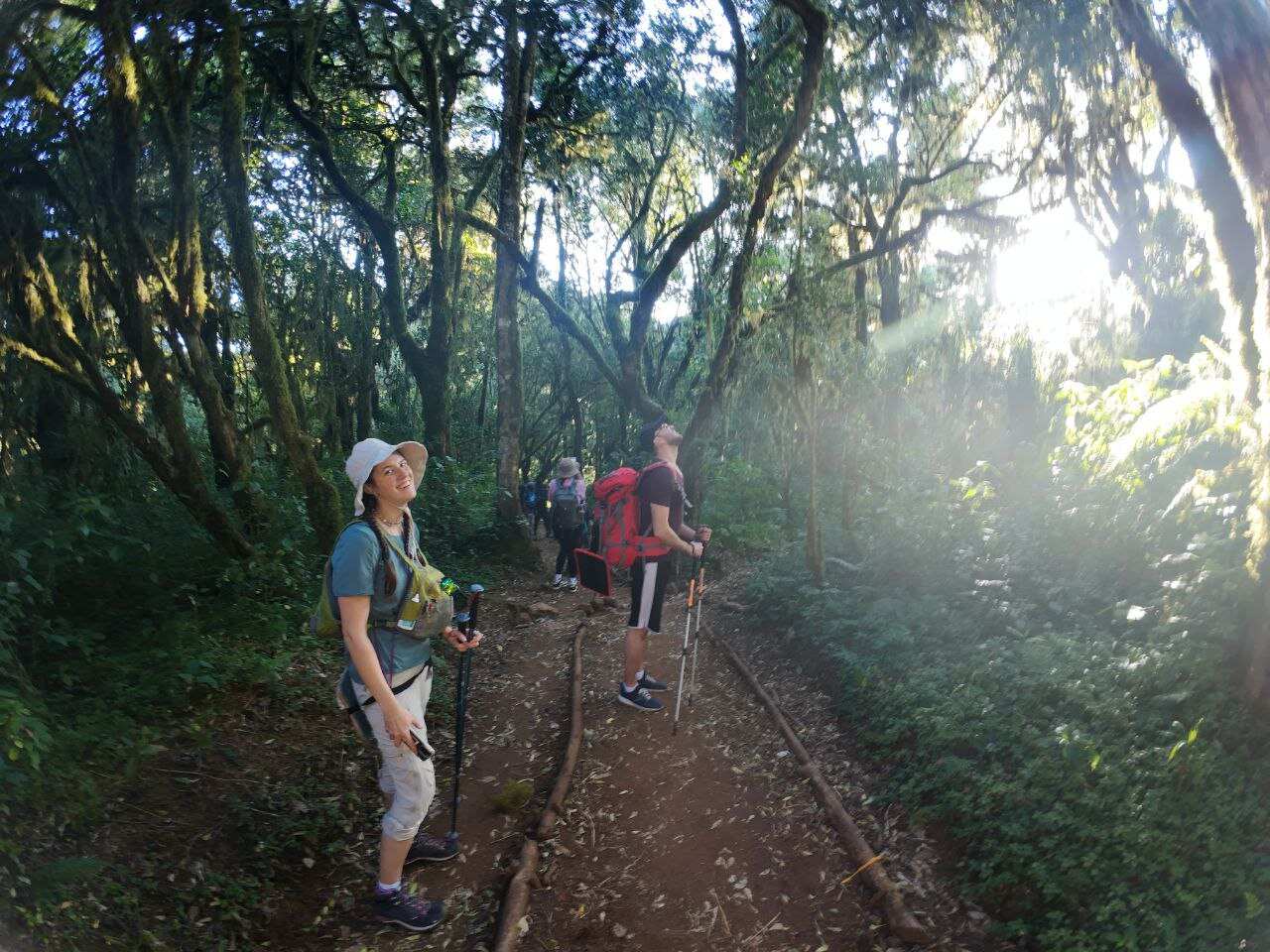 Восхождение на Килиманджаро по маршруту Марангу, 8 дней (4/9)