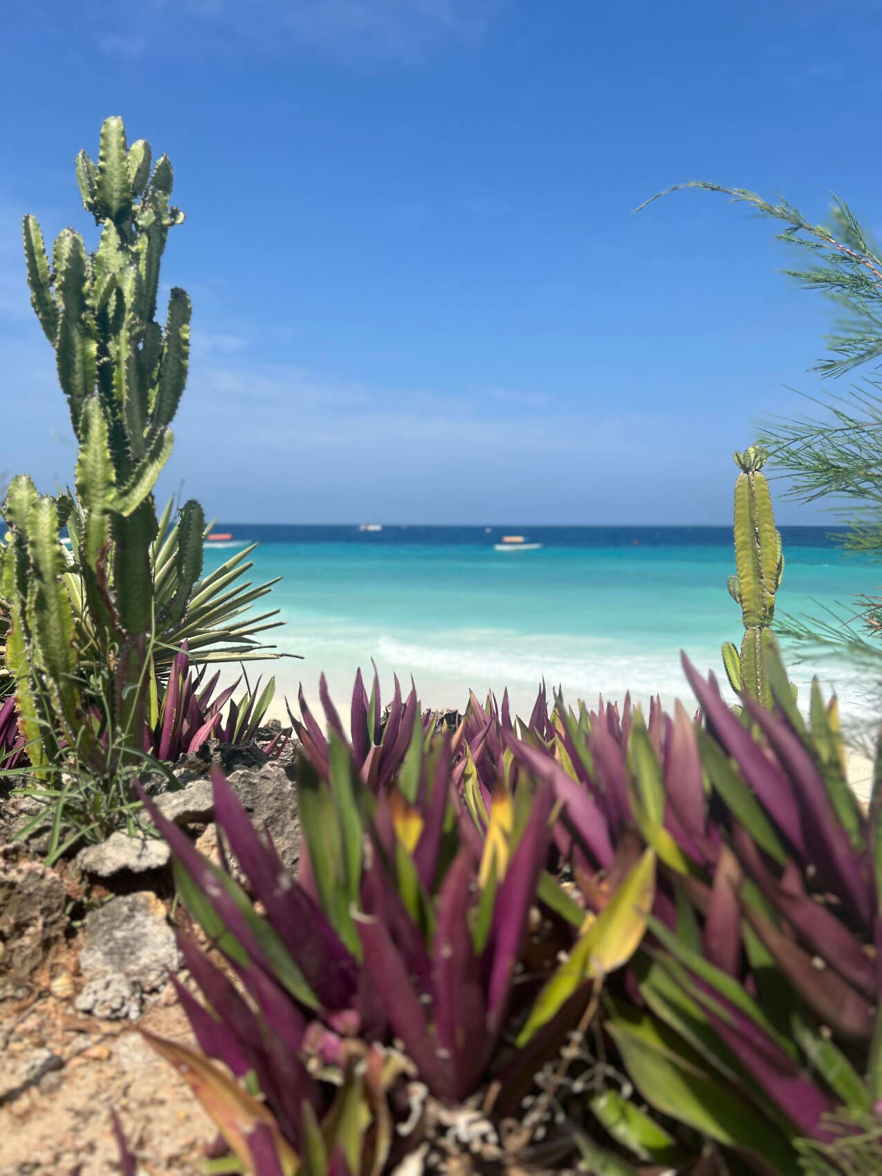 Занзибар: Приключения в Раю (17/55)