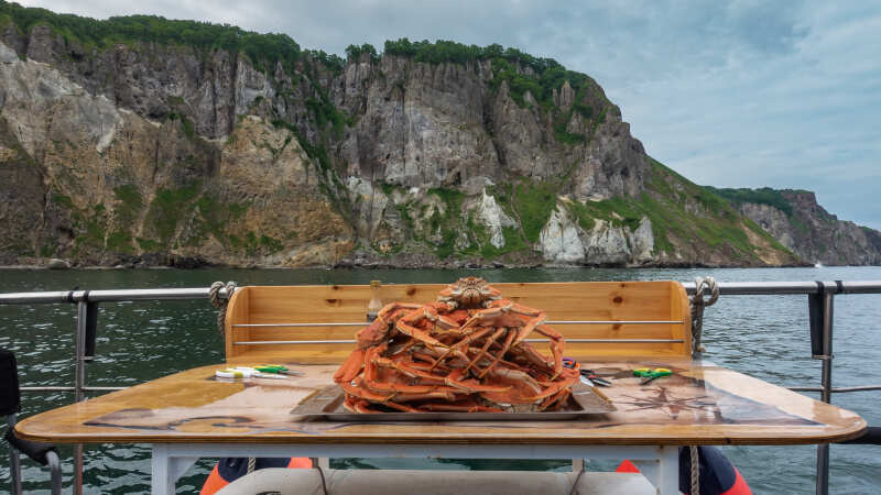 Камчатка: киты, вулканы, медведи, океан