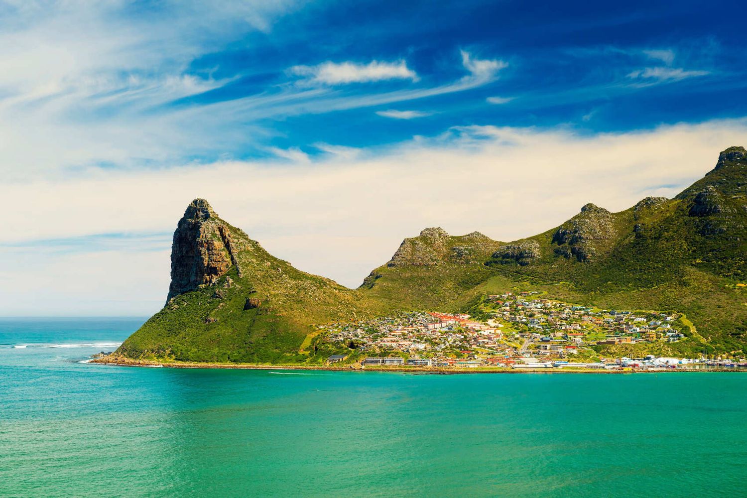 Юар: пингвины и киты (29/51)