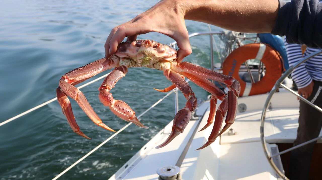 Камчатка: твое доступное путешествие мечты! Комфорт-тур, 7 дней (6/25)